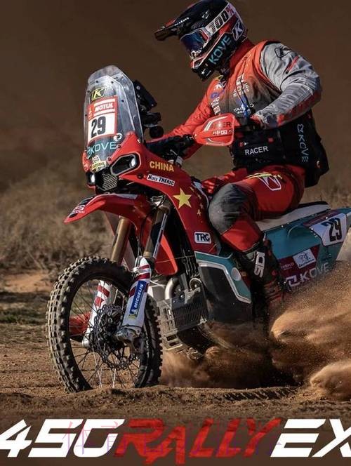 达喀尔拉力赛收官 中国车手表现不俗